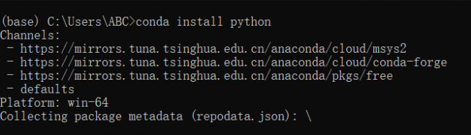 手动下载Python