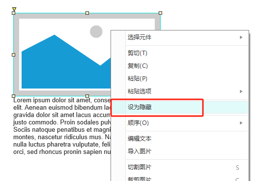 图片设为隐藏