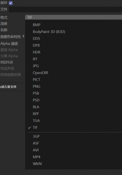 渲染输出格式