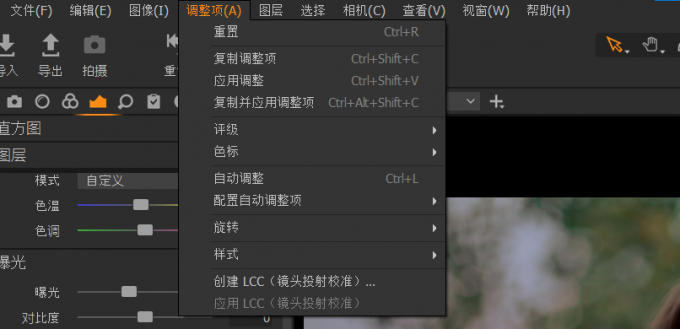 “调整项”工具栏