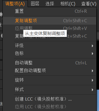 复制调整项