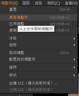复制调整项