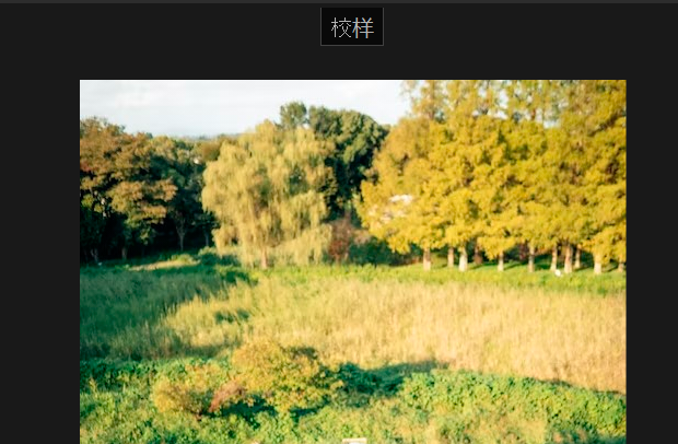 校样视图