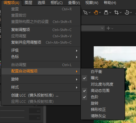 自动调整项