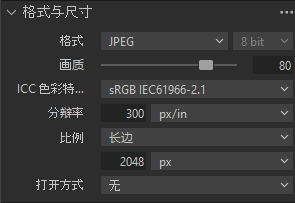 导出格式设置