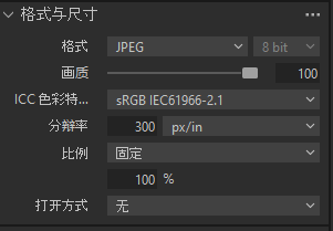 格式与尺寸