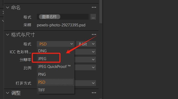 选择导出格式