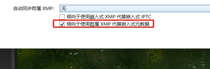自动同步设置