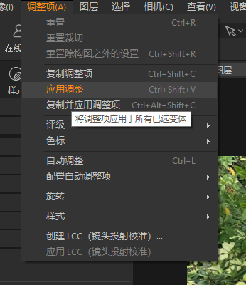 应用调整项