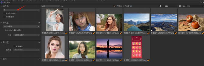 导入自