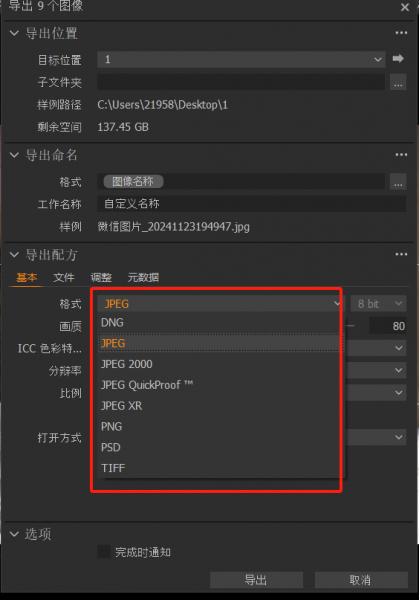 文件导出格式