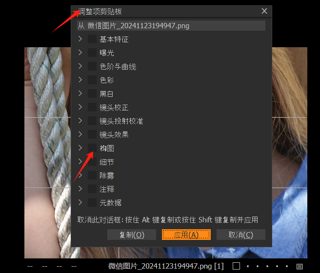 复制调整项