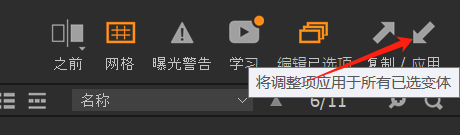 应用调整项