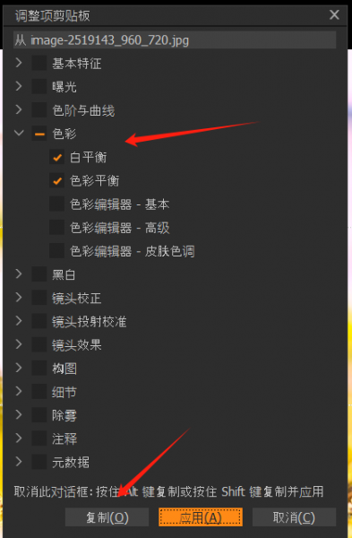 复制