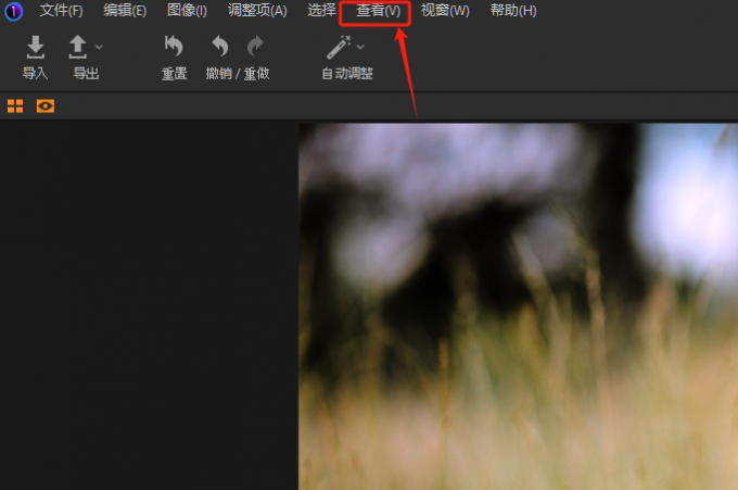 打开查看菜单