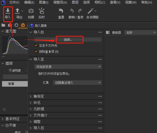导入RAW图片