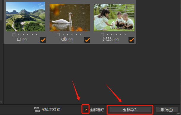 全部导入图片