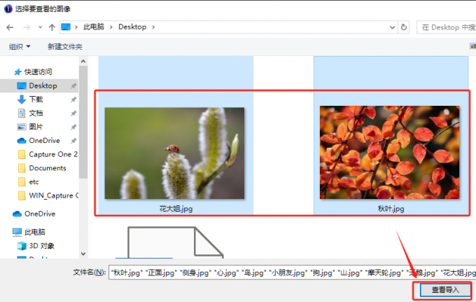 选择导入图片