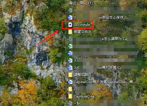 查看导出预设