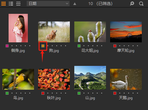 调用色标功能