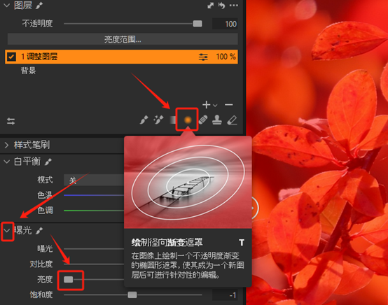 为径向遮罩调亮