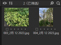 照片编号