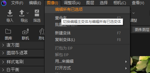 编辑所有已选项