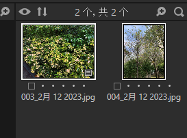 选中2张图片