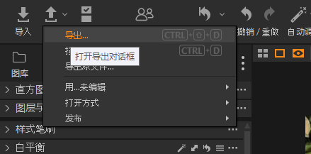 打开导出对话框