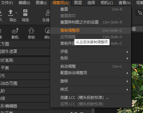 复制调整项