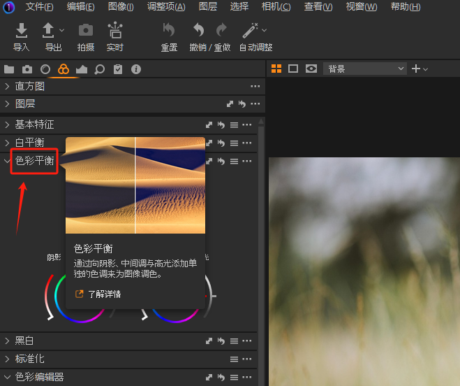 Capture One调色