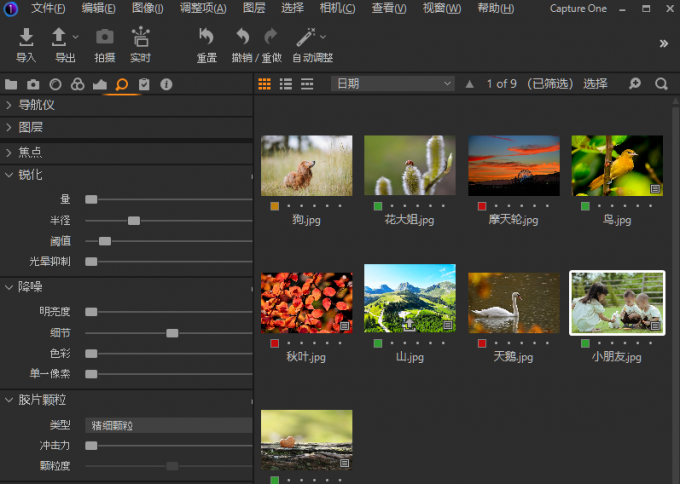 Capture One操作界面