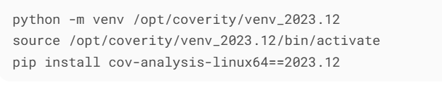 Coverity 多版本共存激活策略