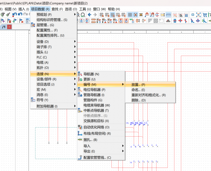 选择【项目数据】-【连接】-【编号】-【放置】
