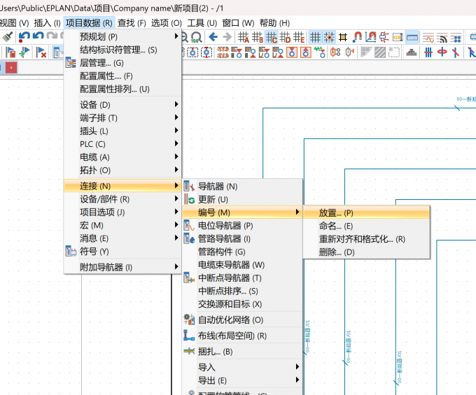 选择【项目数据】-【连接】-【编号】-【放置】
