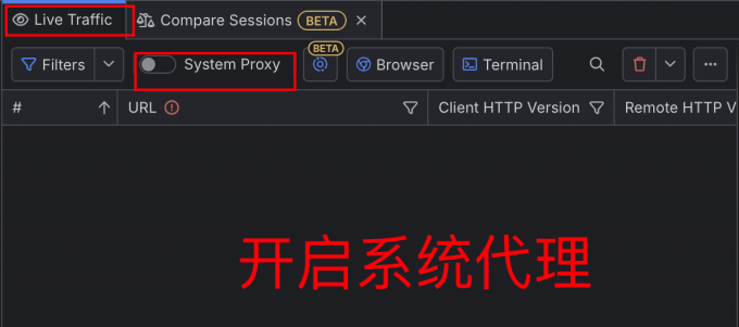 开启系统代理
