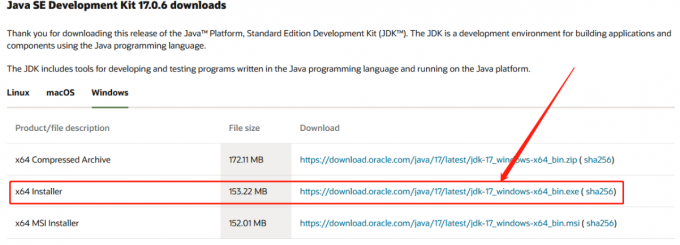 JDK17