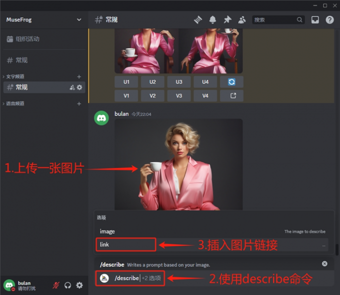 使用describe命令描述图片