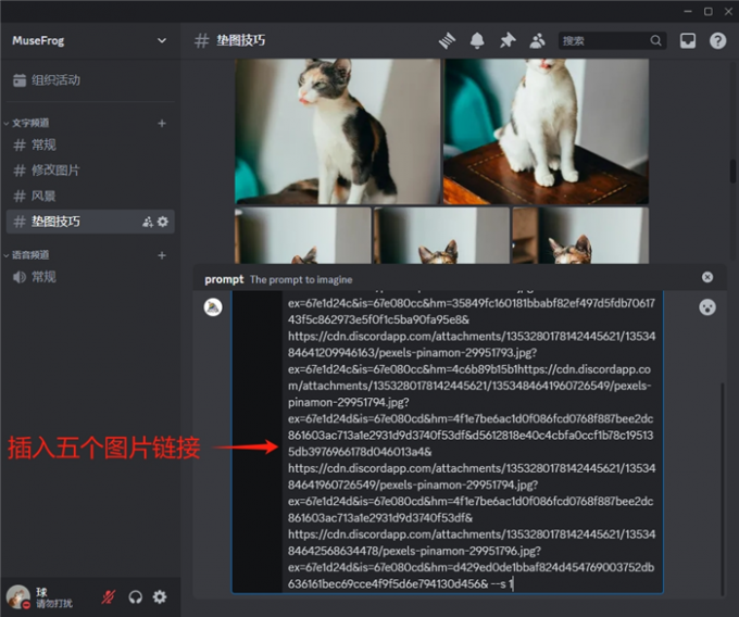 插入五个图片链接