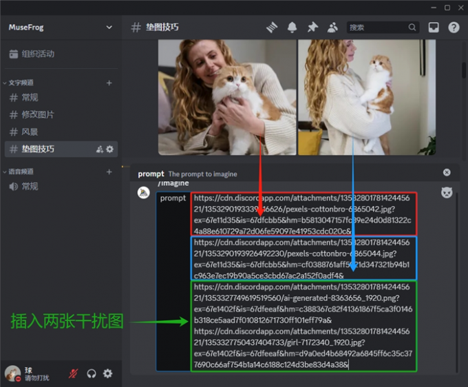 使用干扰图防侵权