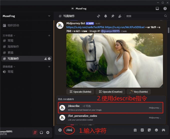 使用describe指令描述图片