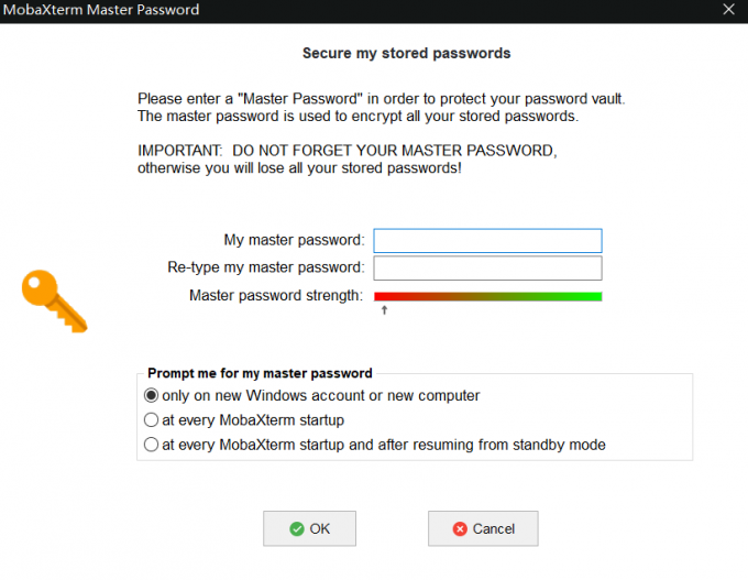 Master Password