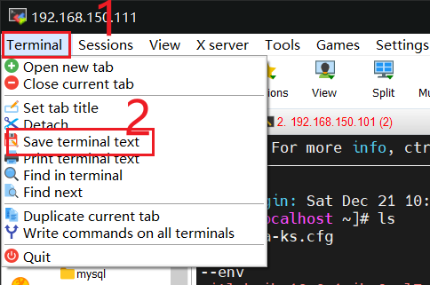 save terminal text