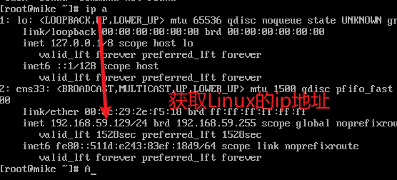 获取Linux机器上的IP地址
