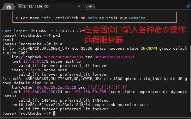 在会话窗口中输入命令