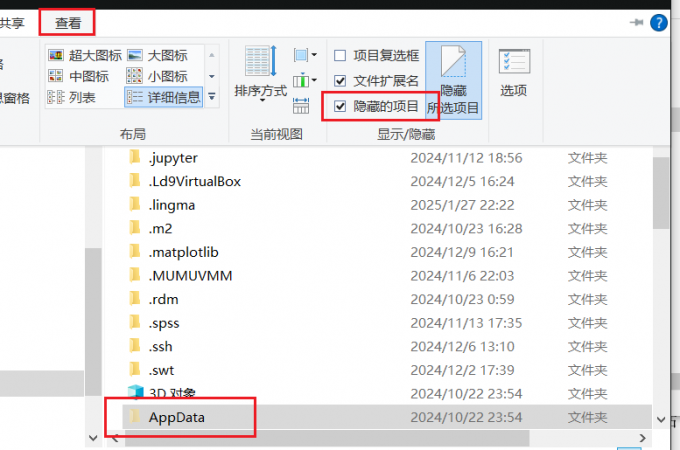 查看隐藏项目
