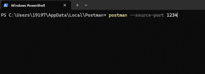 Postman CLI启动