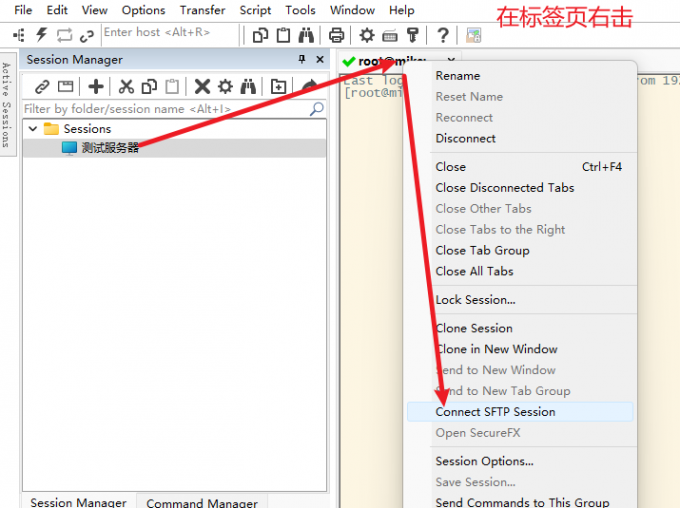 在终端窗口标签页右击打开 SFTP Session