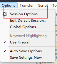 打开SessionOptions的会话设置选项