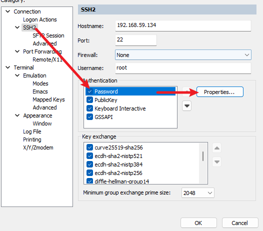 查看当前会话的连接信息